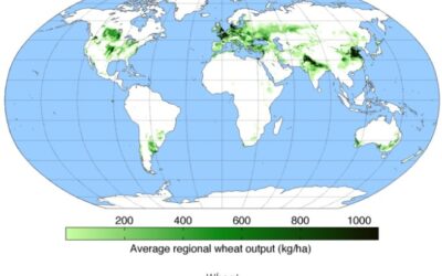 Agricultural Maps of the World