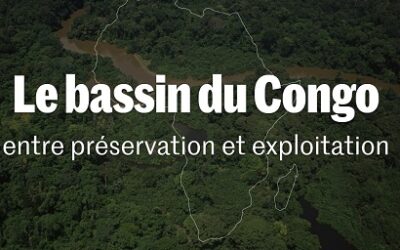 Le bassin du Congo