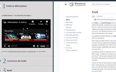 Forêts et déforestation – Supports pour apprendre