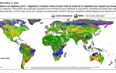 Observation de la Terre – FAO