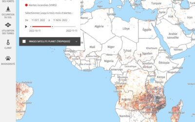 ★★★ Global Forest Watch