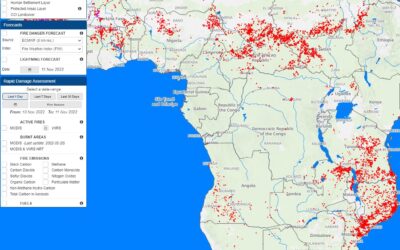 Global Wildfire Information System