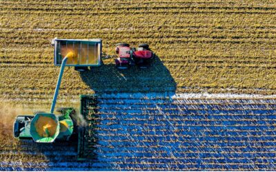 Les mutations de l’agriculture